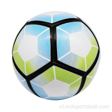 machine gestikt 12 panelen voetbal